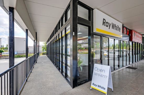Ray White Forest Lake - FOREST LAKE - Real Estate Agency