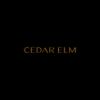 Christine Ding - Real Estate Agent - Cedar Elm Property - MELBOURNE