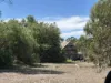 0 Bealiba - Rheola Road, McIntyre, Vic 3472-Image