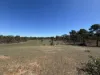 0 Bealiba - Rheola Road, McIntyre, Vic 3472-Image