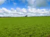0 Borung Highway, Litchfield, Vic 3480