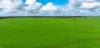 0 Borung Highway, Litchfield, Vic 3480-Image