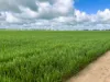 0 Borung Highway, Litchfield, Vic 3480-Image