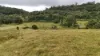 0 Dalrymple Rd, Netherdale, Qld 4756-Image