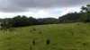 0 Dalrymple Road, Netherdale QLD 4756-Image