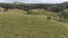 0 Dalrymple Road, Netherdale QLD 4756-Image