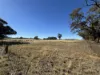 0 Fitzpatrick Road, St Arnaud, Vic 3478-Image