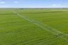 0 Kerang-Murrabit Road, Murrabit, Vic 3579