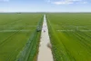 0 Kerang-Murrabit Road, Murrabit, Vic 3579-Image