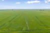 0 Kerang-Murrabit Road, Murrabit, Vic 3579-Image