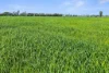 0 Kerang-Murrabit Road, Murrabit, Vic 3579-Image