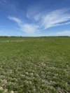 0 Murrawong Road, Kaniva, Vic 3419-Image