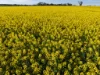 0 The Avenue Road, Kaniva, Vic 3419-Image