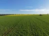 0 The Avenue Road, Kaniva, Vic 3419-Image