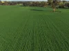 0 The Avenue Road, Kaniva, Vic 3419-Image