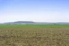 1 Back Plains - Clifton Road, Back Plains, Qld 4361-Image
