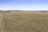 1 Back Plains - Clifton Road, Back Plains, Qld 4361-Image