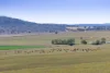 1 Back Plains - Clifton Road, Back Plains, Qld 4361-Image