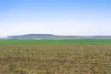 1, Back Plains QLD 4361-Image