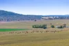 1, Back Plains QLD 4361-Image