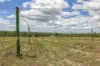 10 Dykehead Road, Boynewood QLD 4626-Image