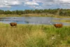 10 Dykehead Road, Boynewood QLD 4626-Image