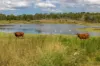 10 Dykehead Road, Boynewood QLD 4626-Image