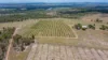 10 Dykehead Road, Boynewood QLD 4626-Image