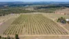 10 Dykehead Road, Boynewood QLD 4626-Image