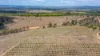 10 Dykehead Road, Boynewood QLD 4626-Image