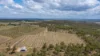 10 Dykehead Road, Boynewood QLD 4626-Image