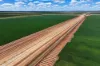 10474 Sturt Highway, Narrandera, NSW 2700