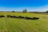 10474 Sturt Highway, Narrandera, NSW 2700-Image
