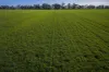 1048 Warren Road, Narromine, NSW 2821-Image