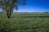 1048 Warren Road, Narromine, NSW 2821-Image