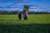 1048 Warren Road, Narromine, NSW 2821-Image