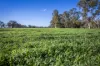 1048 Warren Road, Narromine, NSW 2821-Image