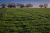 1048 Warren Road, Narromine, NSW 2821-Image
