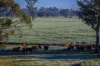 1048 Warren Road, Narromine, NSW 2821-Image