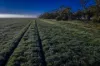 1048 Warren Road, Narromine, NSW 2821-Image