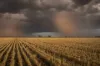 1048 Wyanga Road, Narromine, NSW 2821