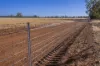 1048 Wyanga Road, Narromine, NSW 2821-Image