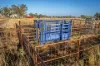 1048 Wyanga Road, Narromine, NSW 2821-Image