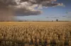1048 Wyanga Road, Narromine, NSW 2821-Image