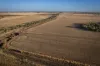 1048 Wyanga Road, Narromine, NSW 2821-Image