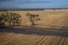 1048 Wyanga Road, Narromine, NSW 2821-Image