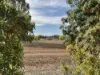 105 Hoopers Road, Kialla, Vic 3631-Image