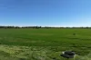 1055 Hansen Road, Bamawm, Vic 3561-Image