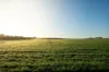 1074 Neve Road, Pingrup WA 6343-Image