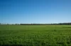 1074 Neve Road, Pingrup WA 6343-Image
